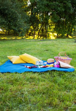 doğa üzerinde piknik