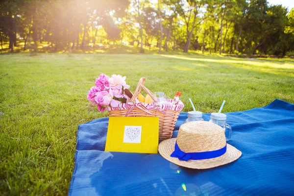 Doğa üzerinde piknik — Stok fotoğraf