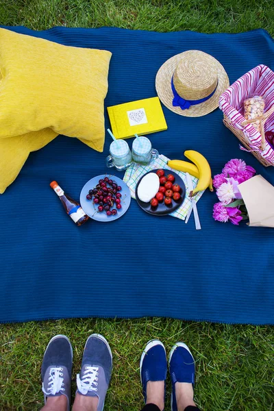 Luminoso picnic estivo — Foto Stock