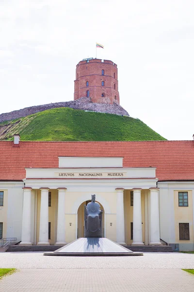 Národní muzeum Litva Vilnius. Socha Mindaugas - velkokníže Litvy — Stock fotografie