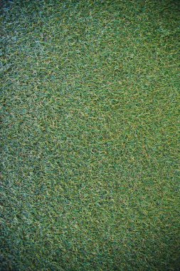 yeşil çim dokusu, arka plan için uygun