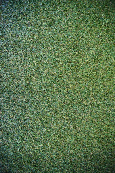 Erba verde texture, adatto per lo sfondo — Foto Stock
