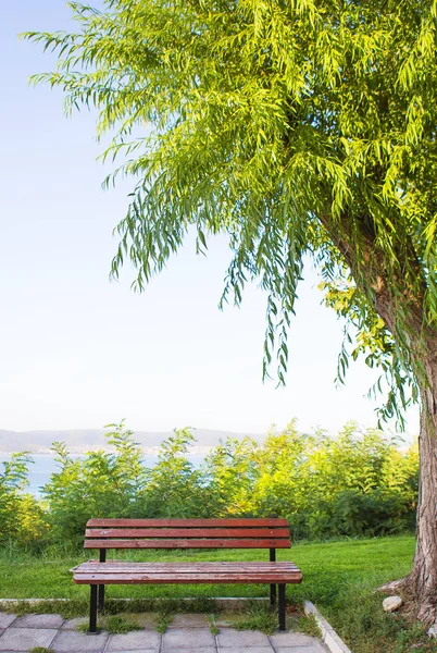 El banco cerca del árbol - el descanso, el sol, el mar, las vacaciones —  Fotos de Stock