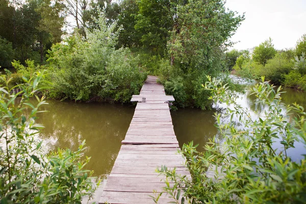 Old wooden bridge near a lake in a green grove — Stock Photo, Image