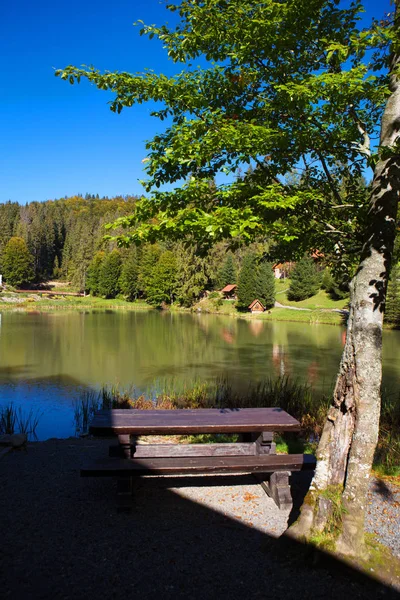 Vacker Natur Skogen Och Den Blå Himlen Karpaterna Ukraina — Stockfoto