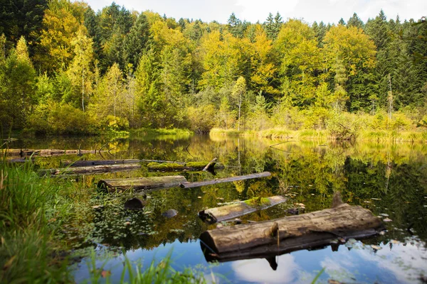 Very Beautiful Autumn Panoramas Carpathians Ukraine Lake Forest — Stock Photo, Image