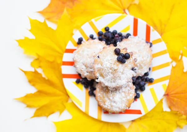 蓝莓松饼在盘子颜色和黄色秋天叶子 — 图库照片