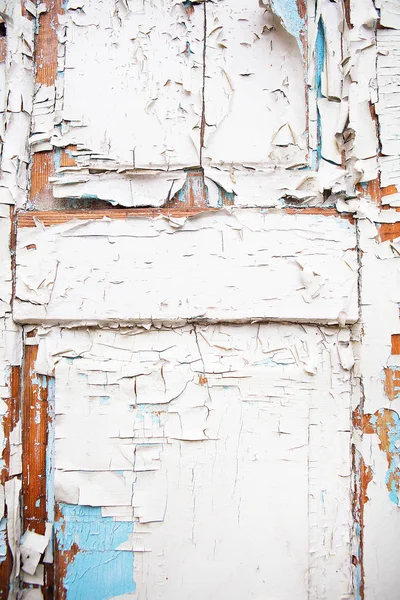 Very Old Wooden Door Cracked White Blue Paint — Stock Photo, Image