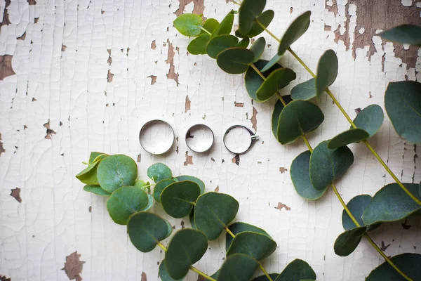Gyönyörű Régi Gyűrű Egy Fehér Tábla Egy Ágacska Eukaliptusz — Stock Fotó