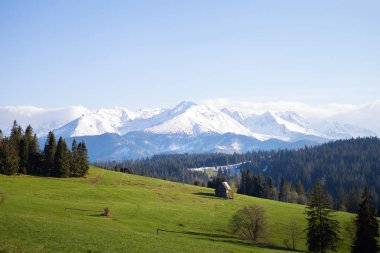 Dağ manzarası, Tatra Milli Parkı, Polonya güzel görünümü. Yüksek Tatras, Karpatlar