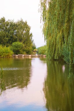 küçük bir balıkçı gölü, dinlenme, yaz, balıkçılık, kamp, sabah