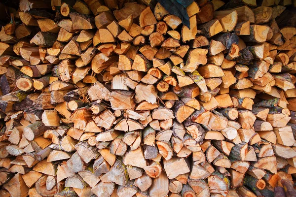 Oogsten van brandhout in de open lucht, op het platteland — Stockfoto