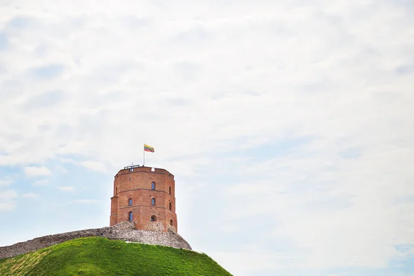 Uitzicht op het kasteel op een groene heuvel. — Stockfoto