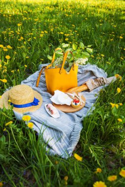 doğada piknik, ekose hangi gıda-sire, baget, kek, çilek