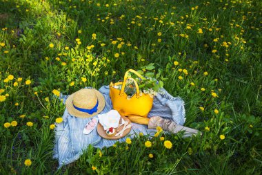 Bir piknik ve parkta yeşil çim bir battaniye, doğa. Çanta, şapka, yemek