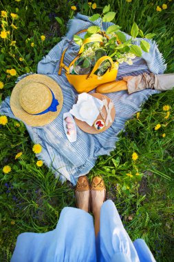 doğada piknik, ekose hangi gıda-sire, baget, kek, çilek