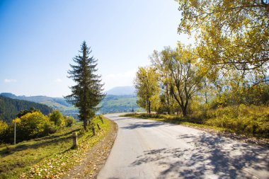 Karpatlar Ukrayna'nın çok güzel sonbahar manzaraları