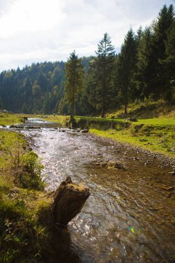 Karpatlar, Ukrayna çok güzel sonbahar manzaraları