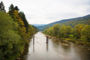 çok güzel sonbahar manzaraları Karpatlar Ukrayna-nehir, orman