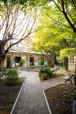 Güzel, rahat bir Odessa avlusu. Tatil, yaz, deniz.