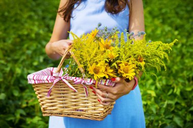 Mavi tahtalı bir kız elinde sarı çiçeklerle dolu bir sepet tutuyor.