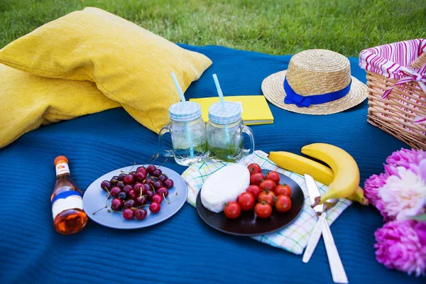 Luminoso picnic estivo — Foto Stock