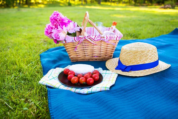 Doğa üzerinde piknik — Stok fotoğraf