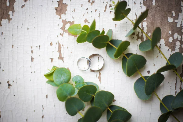 Dos anillos de boda —  Fotos de Stock