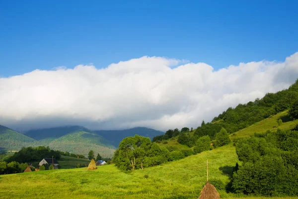 Carpathian nature in summer — Stock Photo, Image