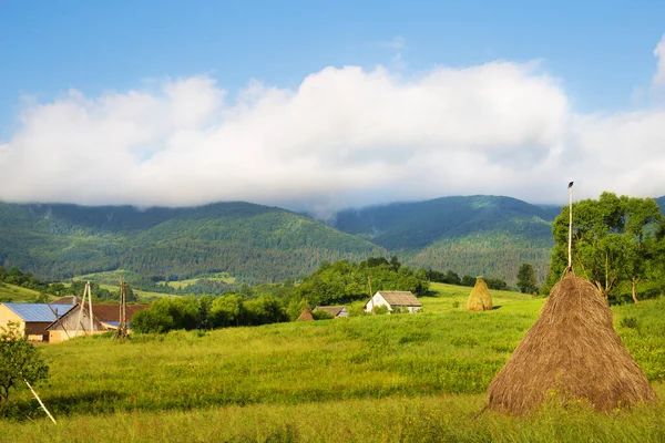 Karpaterna natur på sommaren — Stockfoto