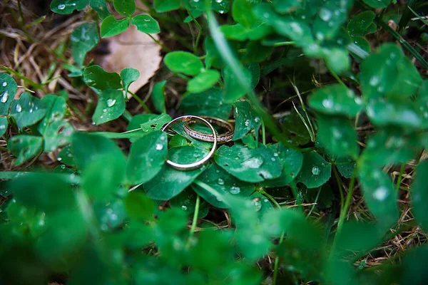 Hermosos anillos de oro de la boda se encuentran en la hierba —  Fotos de Stock