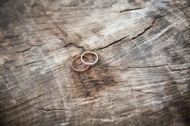 Güzel alyanslar tahta kütüğün üzerinde duruyor.