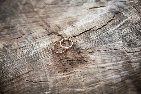 Beautiful wedding rings lie on wooden stump — Stock Photo, Image