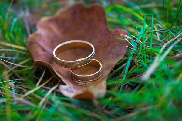 Anéis de casamento de ouro estão em uma folha no parque — Fotografia de Stock