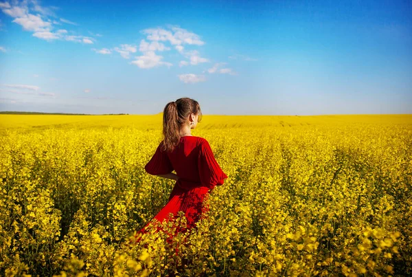 En un vestido rojo hermosa chica de pie en el campo — Foto de Stock