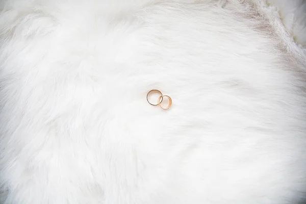 Beautiful wedding rings on white background — Stock Photo, Image