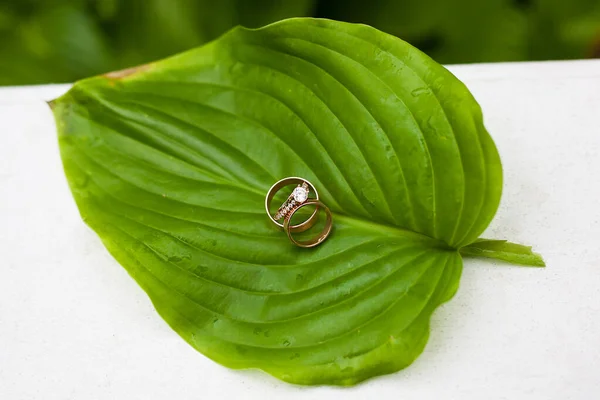 Prachtige trouwringen op een groen blad — Stockfoto