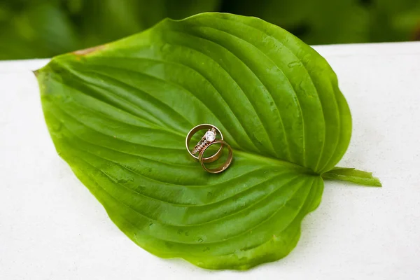 Belle fedi nuziali su una foglia verde — Foto Stock