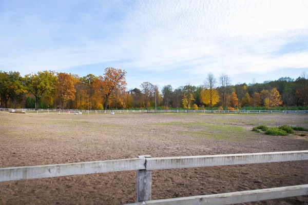 Betesmark Det Fria Guldhösten — Stockfoto