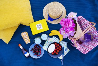 Çimenlerin üzerinde Parkta piknik: masa örtüsü, sepet, sağlıklı yiyecek ve aksesuarları, üstten görünüm
