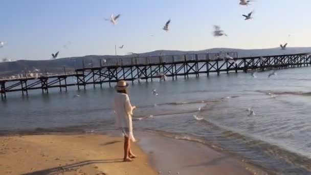 Wczesnym rankiem młoda dziewczyna karmi mewy chlebem w pobliżu morza. Lato, wakacje, podróże, wypoczynek na świeżym powietrzu. — Wideo stockowe