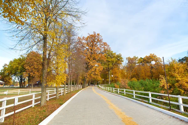 Hermoso Otoño Dorado Todos Los Colores Del Otoño Camino Medio —  Fotos de Stock