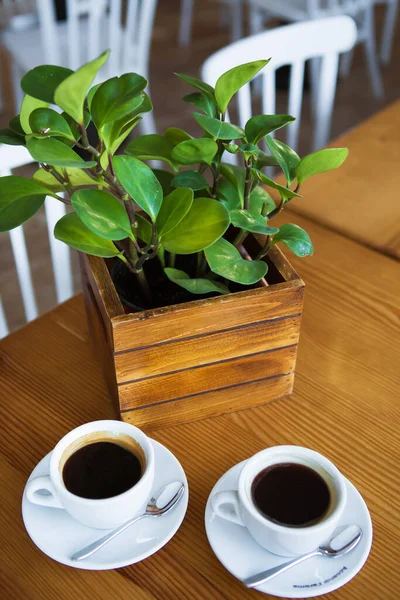 Twee mokken koffie op een houten tafel, groene pot. Een close-up. Uitzicht van bovenaf. — Stockfoto
