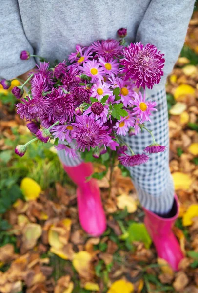 Una Giovane Donna Tiene Bellissimo Bouquet Fiorito Crisantemi Freschi Primo — Foto Stock