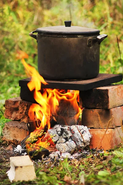 Kış kuş besleyici huş ağacı üzerinde