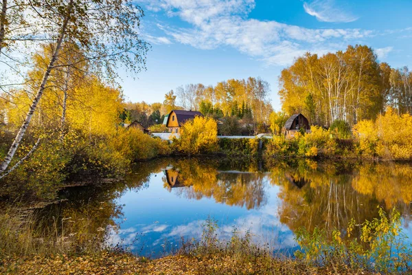 Göl evleri ve huş ağacı