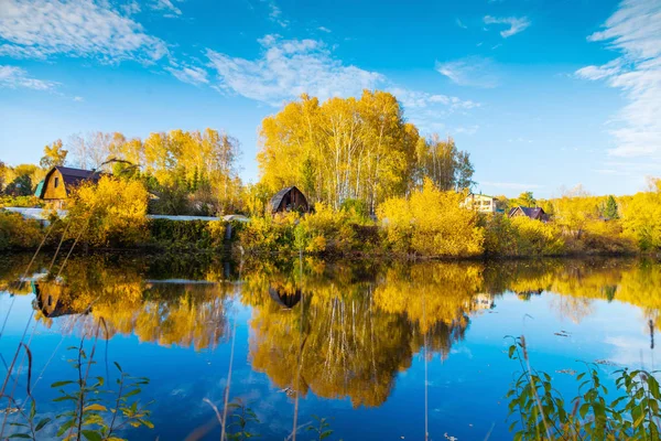 temiz Sonbahar Orman Gölü