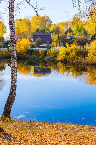 Göl evleri ve huş ağacı