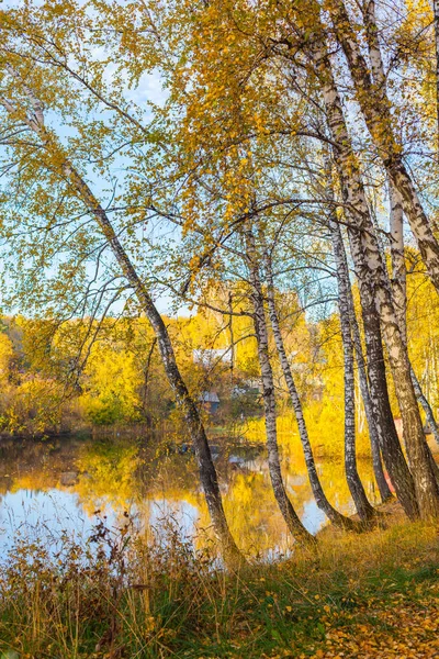 Gölde güzel huş ağacı