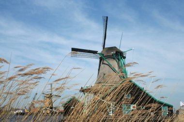 Hollanda, Hollanda, Flamanca, Kuzey Hollanda, Açık Hava Müzesi, Zaanse Schans'a, 2015:Original Hollanda tarihi yel değirmeni gibi açık hava musuem maruz olabilir